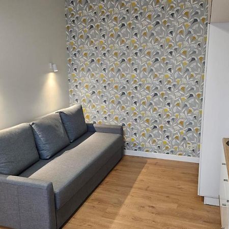 Modern Studio Apartment Marijampolė エクステリア 写真